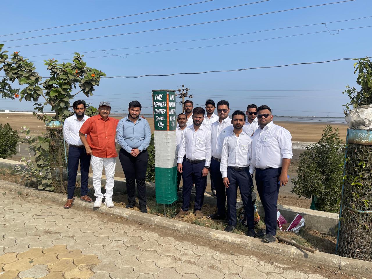 Tree Plantation