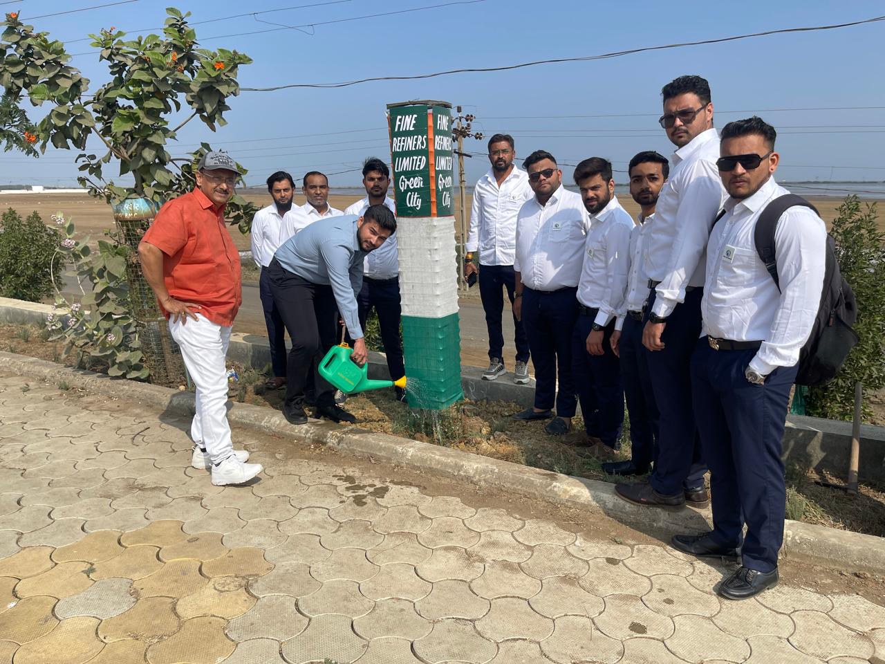 Tree Plantation