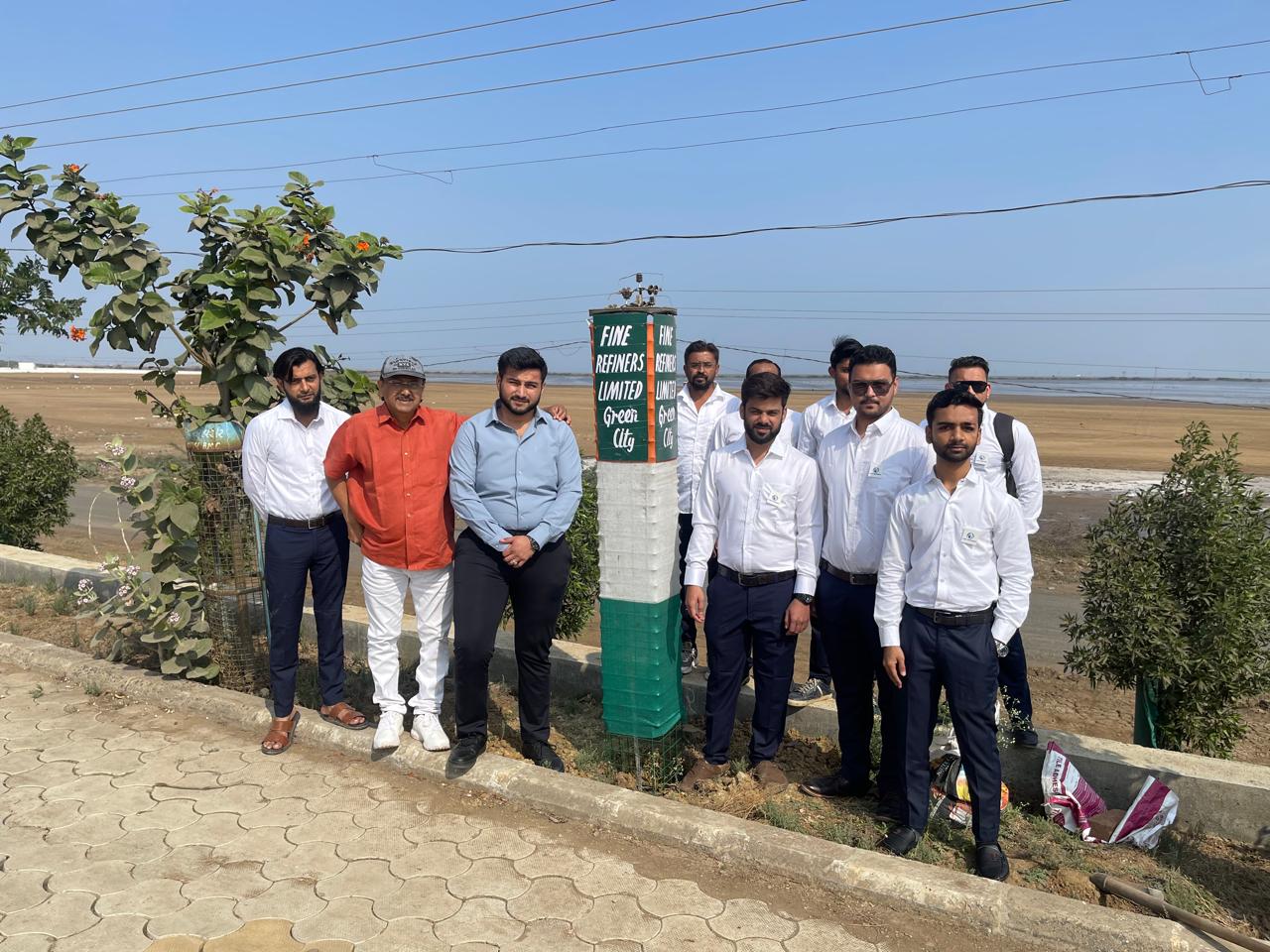 Tree Plantation
