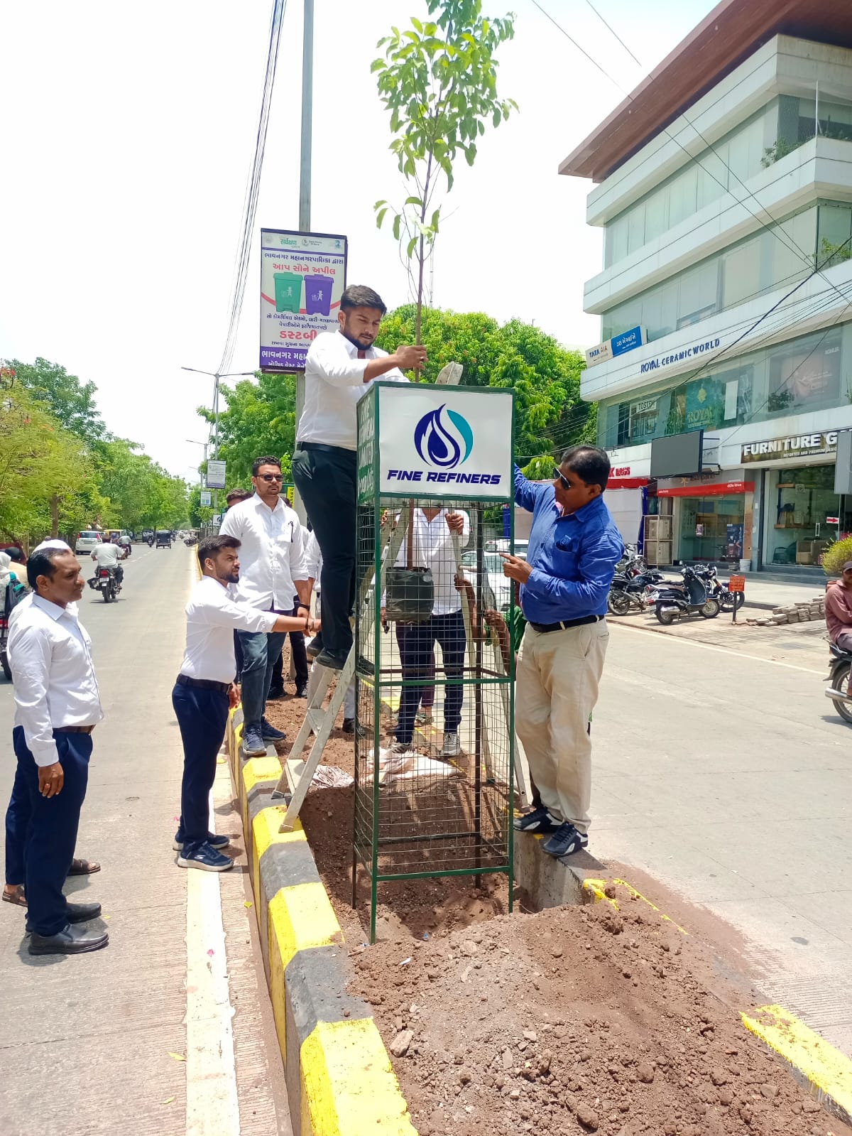 Tree Plantation