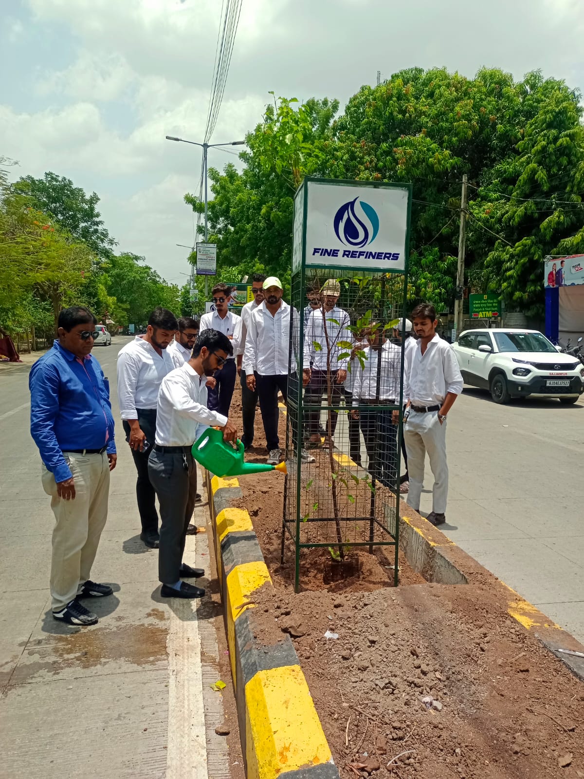 Tree Plantation