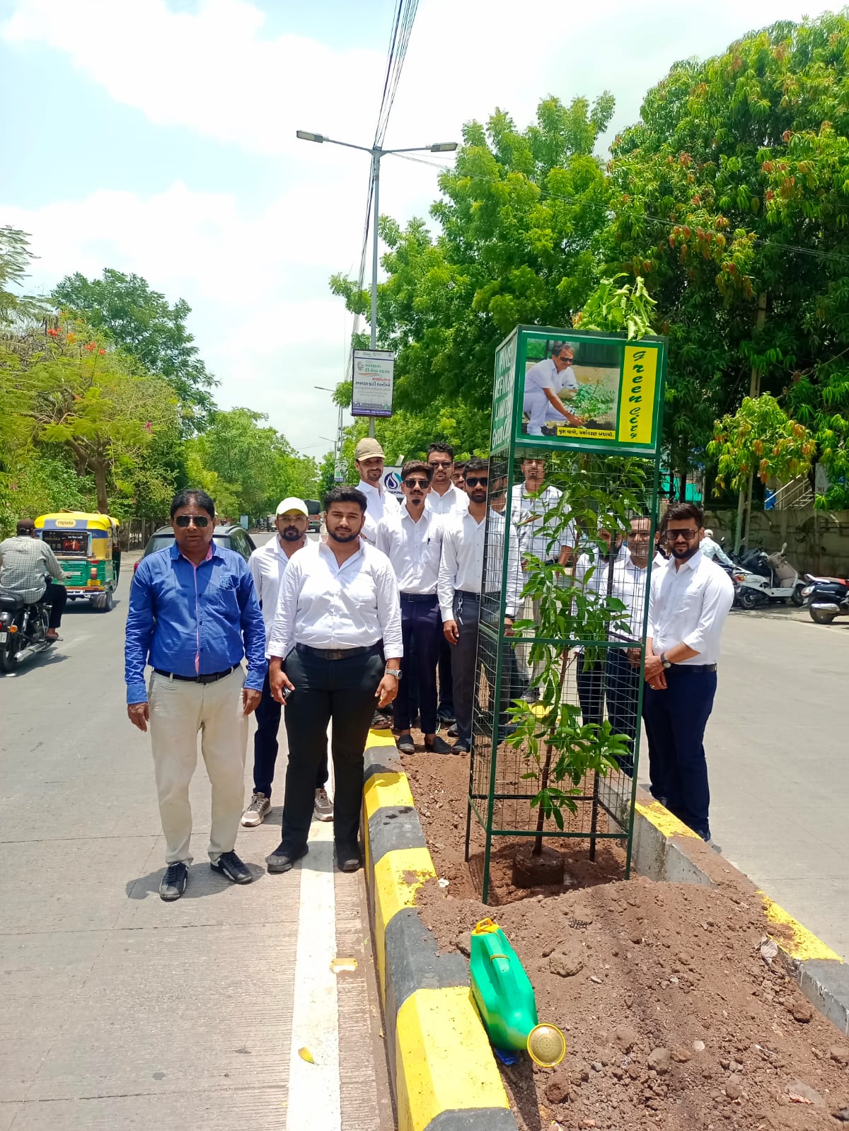 Tree Plantation