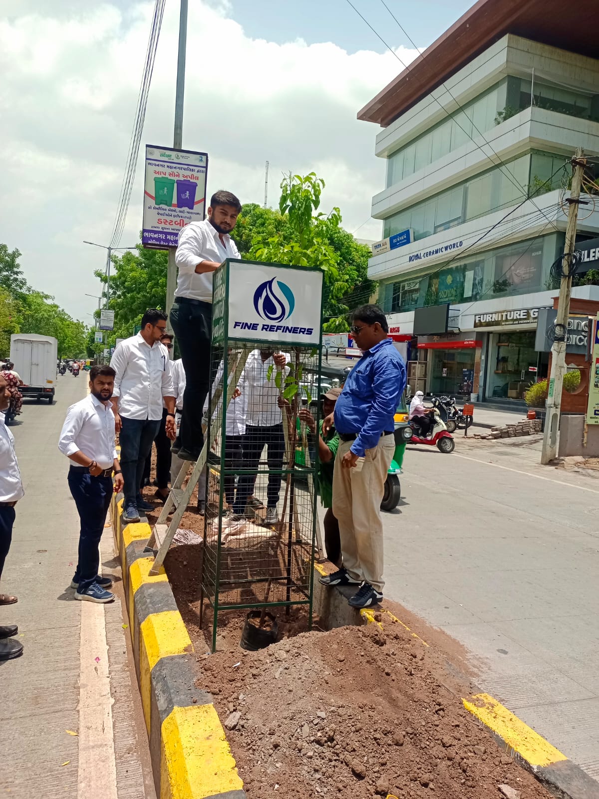 Tree Plantation