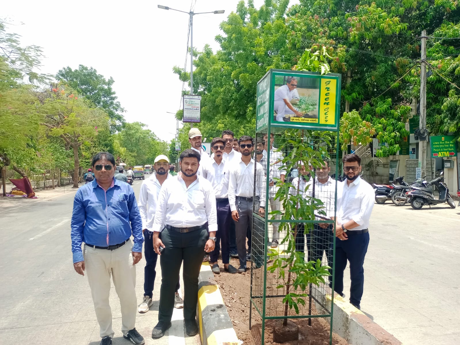 Tree Plantation